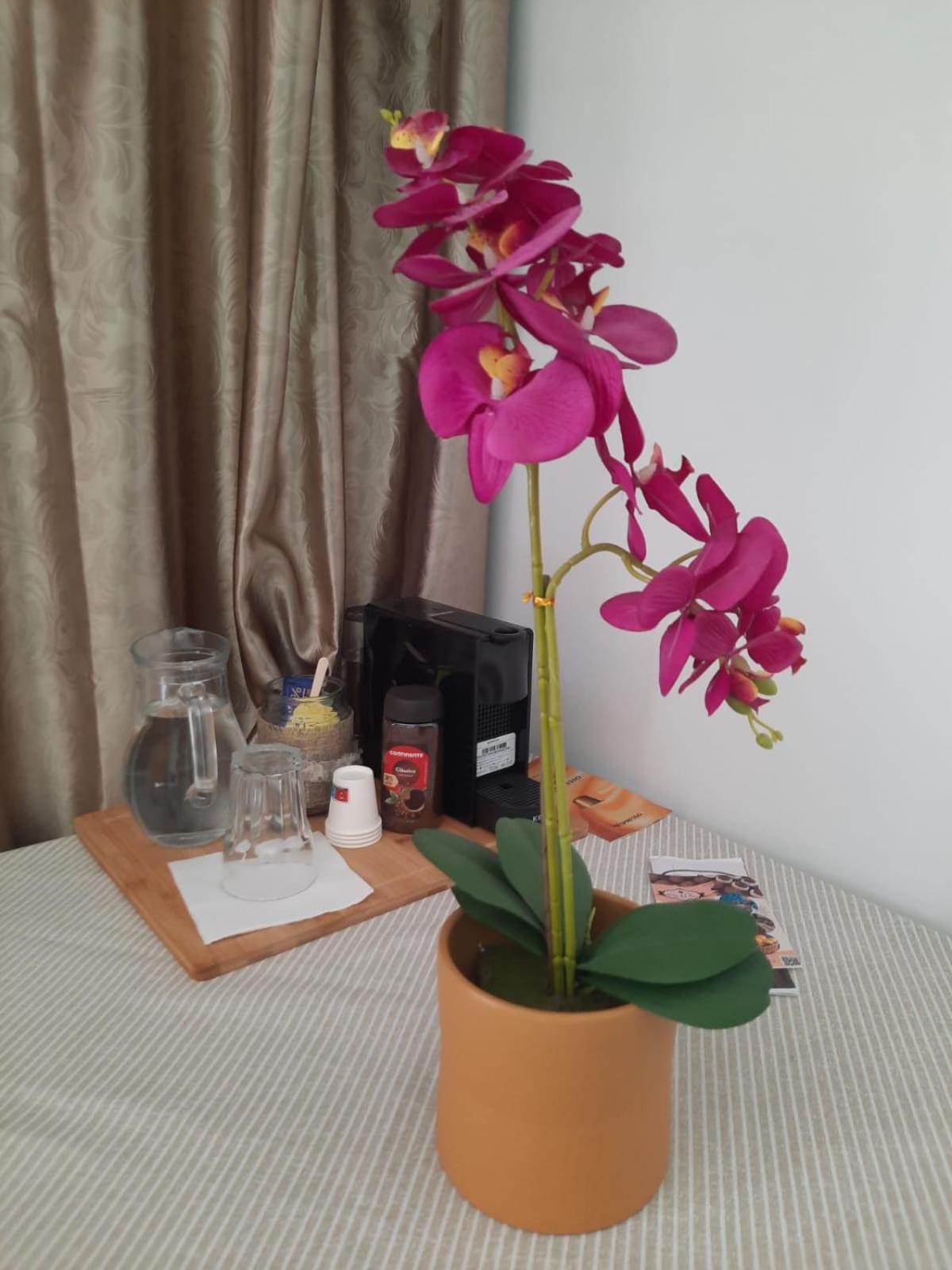 Pedacinho Do Ceu Apartment Ponta Delgada  Ngoại thất bức ảnh